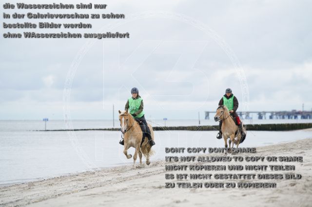s_K3F04763.JPG